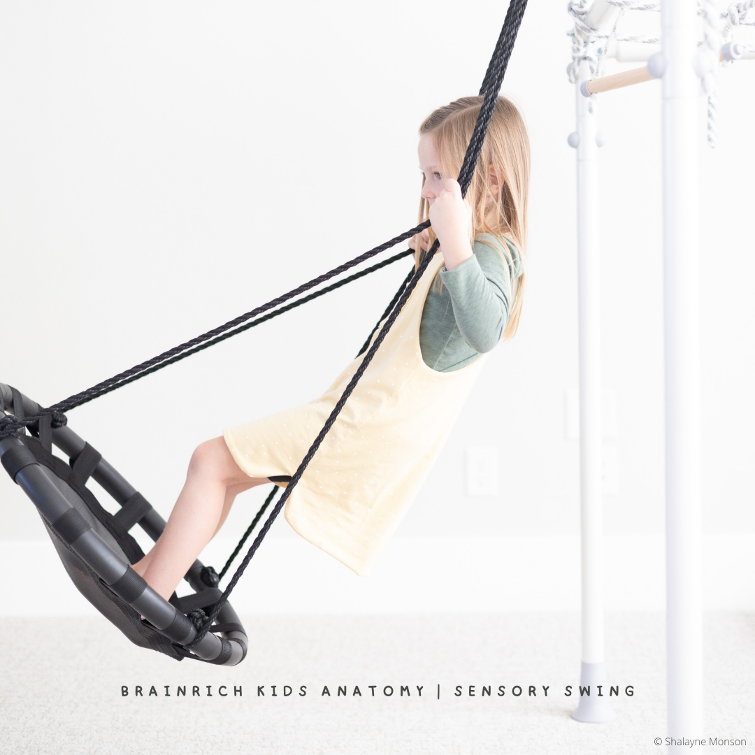 Six Types of Sensory Swings for your Brainrich Kids Play Gym