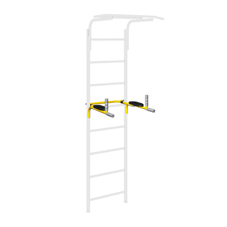Calisthenics Dips Station